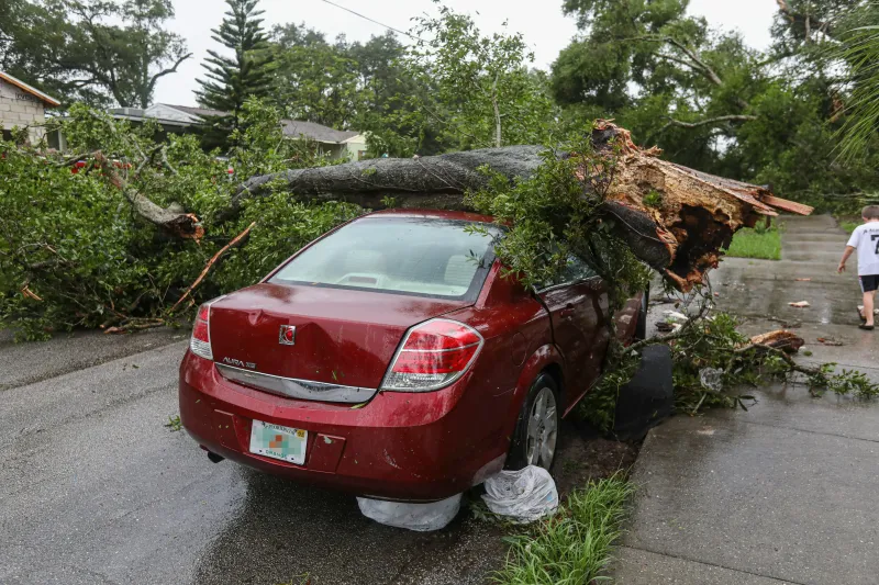 Emergency tree removal from a vehicle