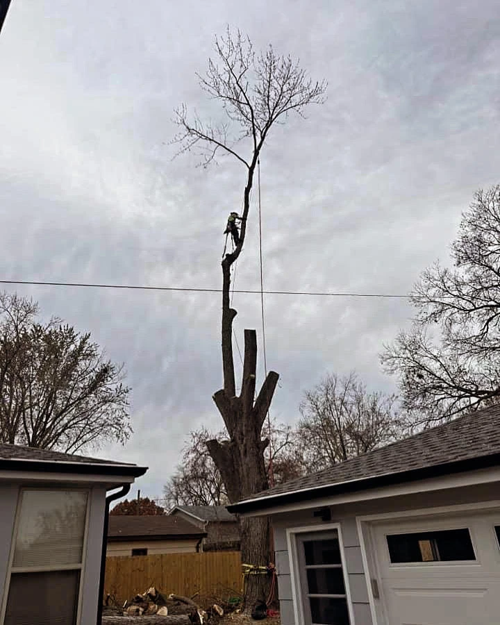 Tree Service Equipment